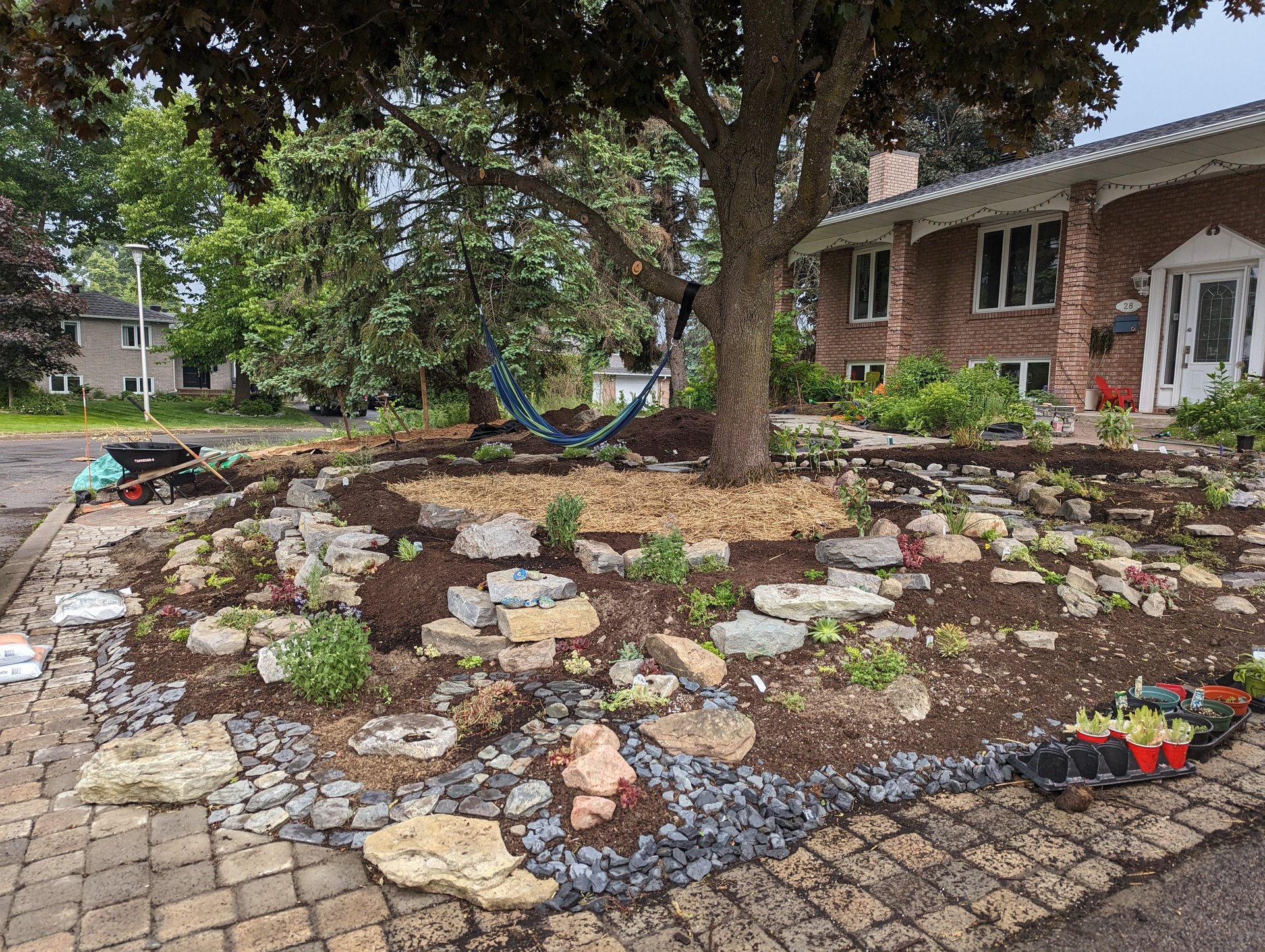 This must have been the start of adding plants