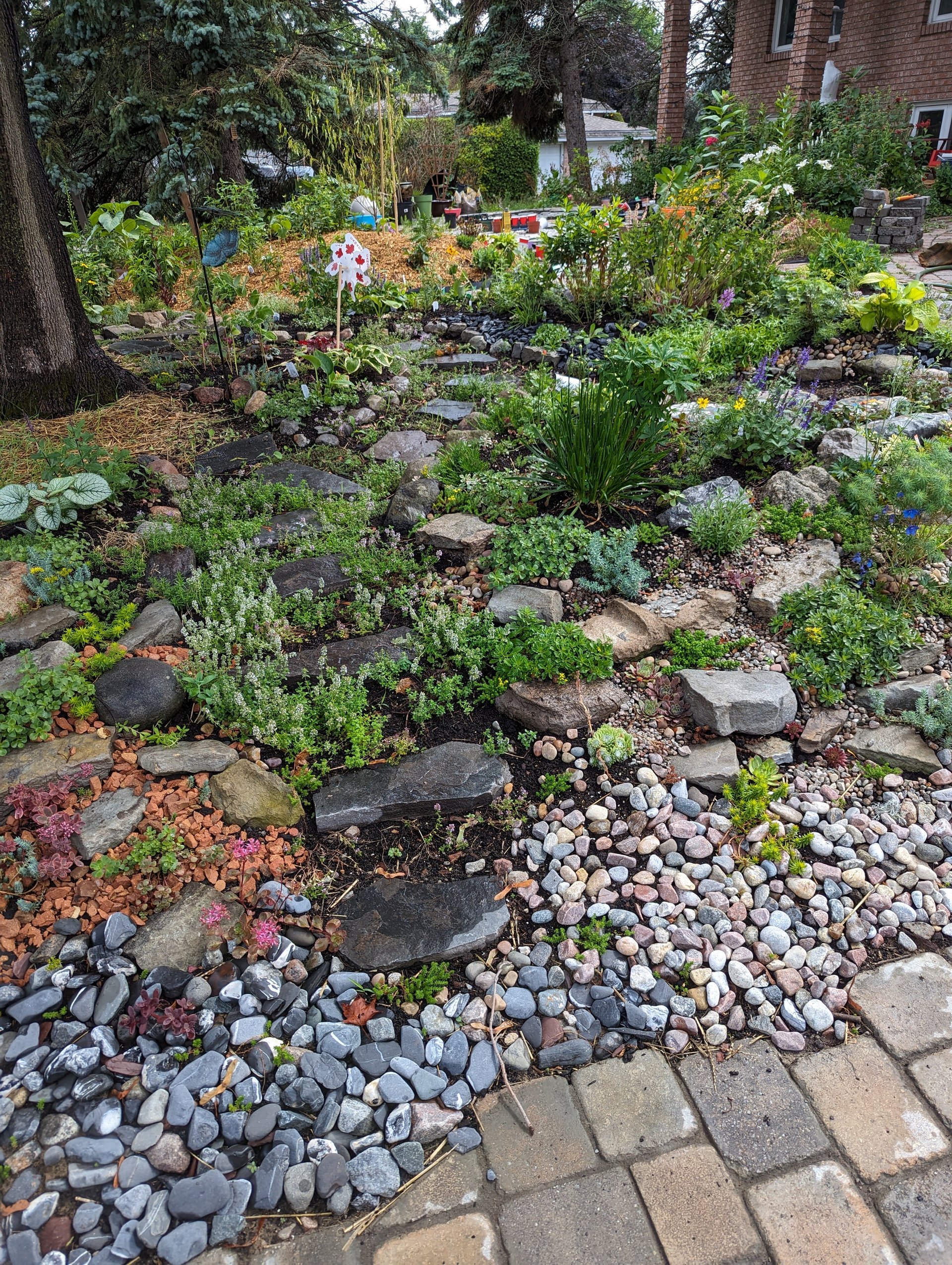 Photo - Creative Rock Garden Ideas for Challenging Areas
