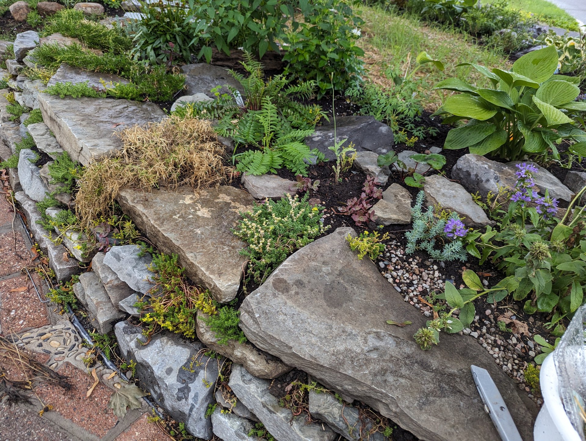 Photo - Creative Rock Garden Ideas for Challenging Areas
