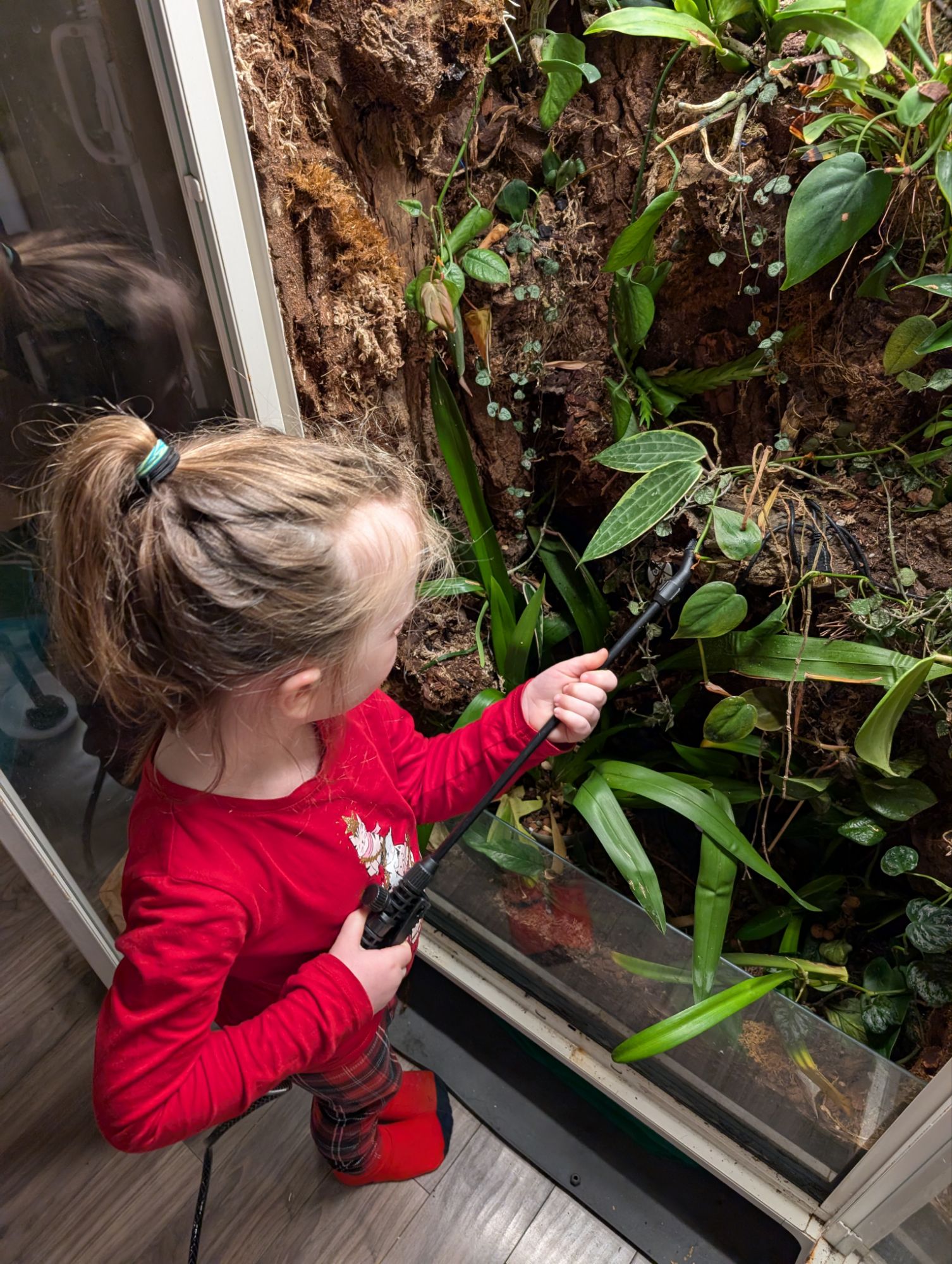 Photo - Party de plantes du Nouvel An dans le bain et ma recette ultra secrète de terreau tropical