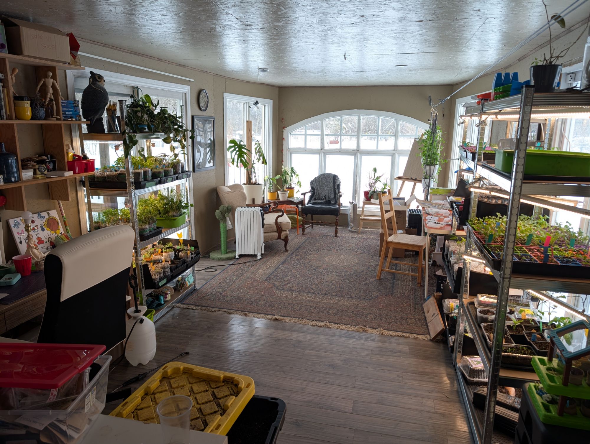 Photo — The making of a nursery. Year 1... February Updates