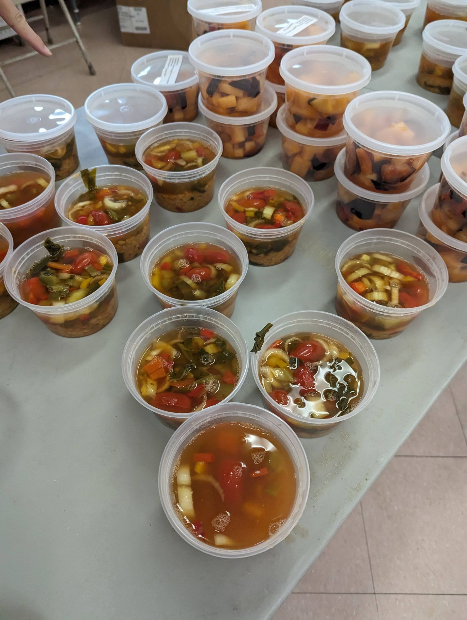 Photo - Pourquoi je fais ça? Des trucs trop personnels et de la merde personnelle qui ont mené à une micro-pépinière