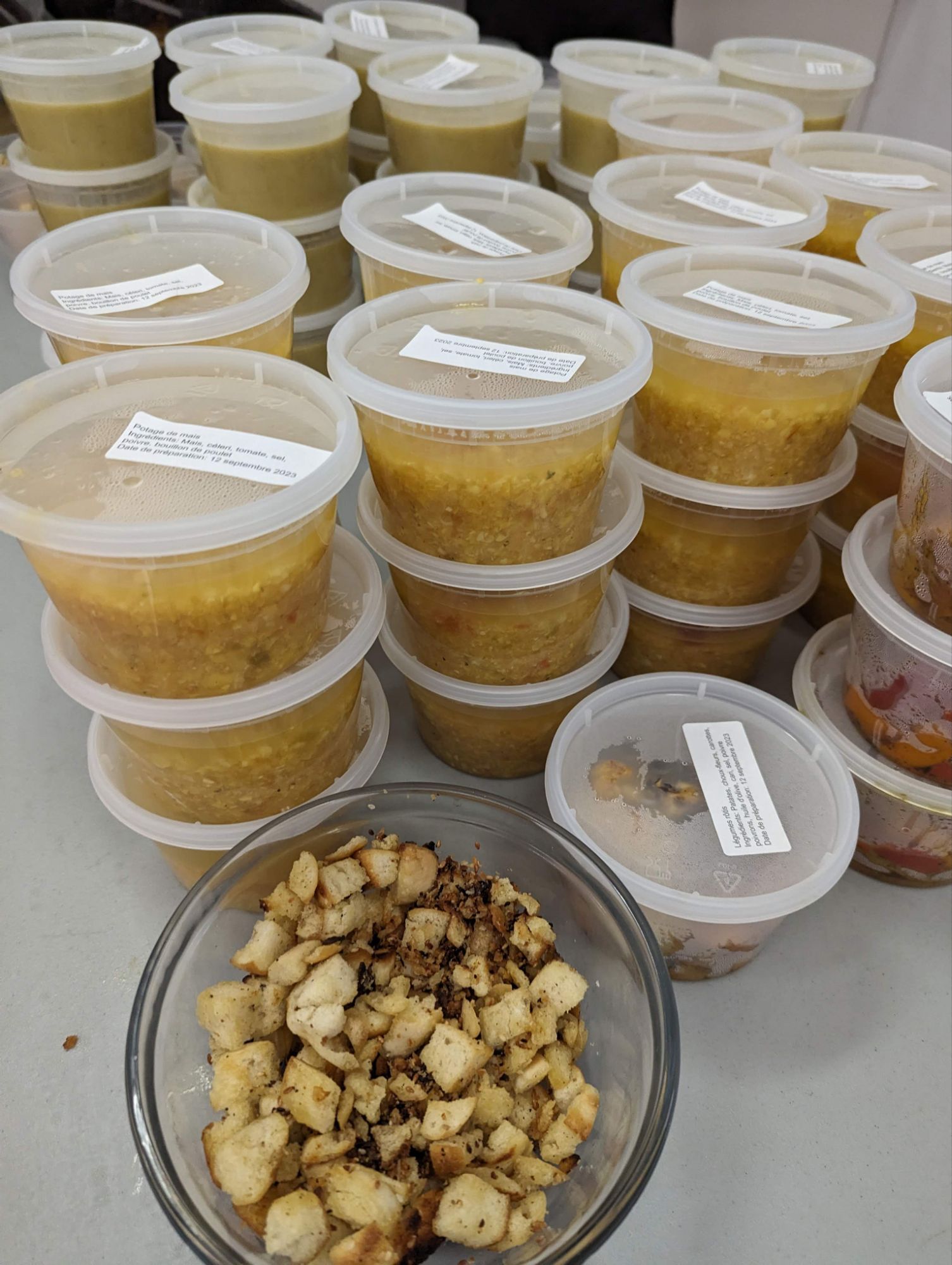 Photo - Pourquoi je fais ça? Des trucs trop personnels et de la merde personnelle qui ont mené à une micro-pépinière