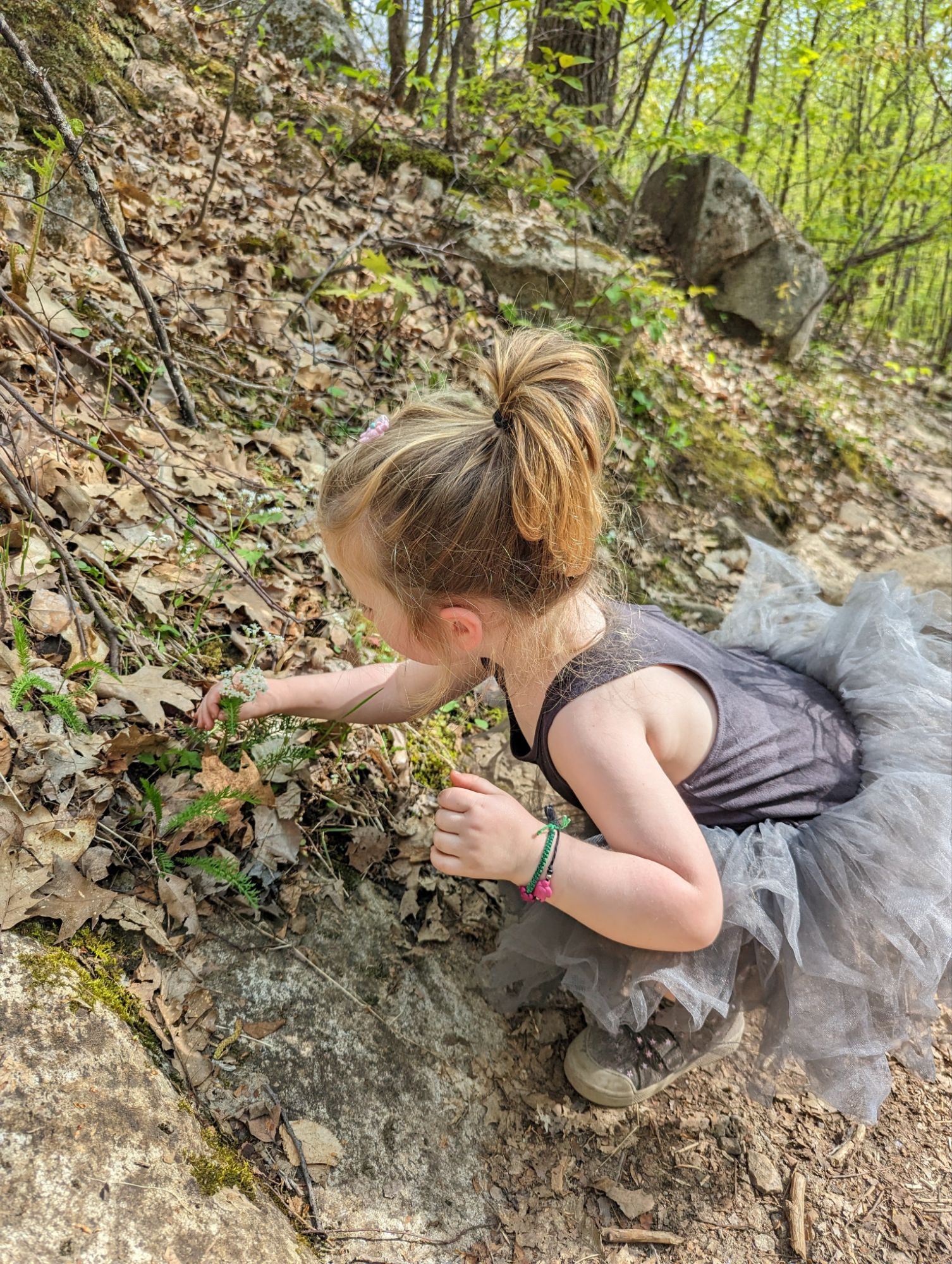 Photo - Pourquoi je fais ça? Des trucs trop personnels et de la merde personnelle qui ont mené à une micro-pépinière