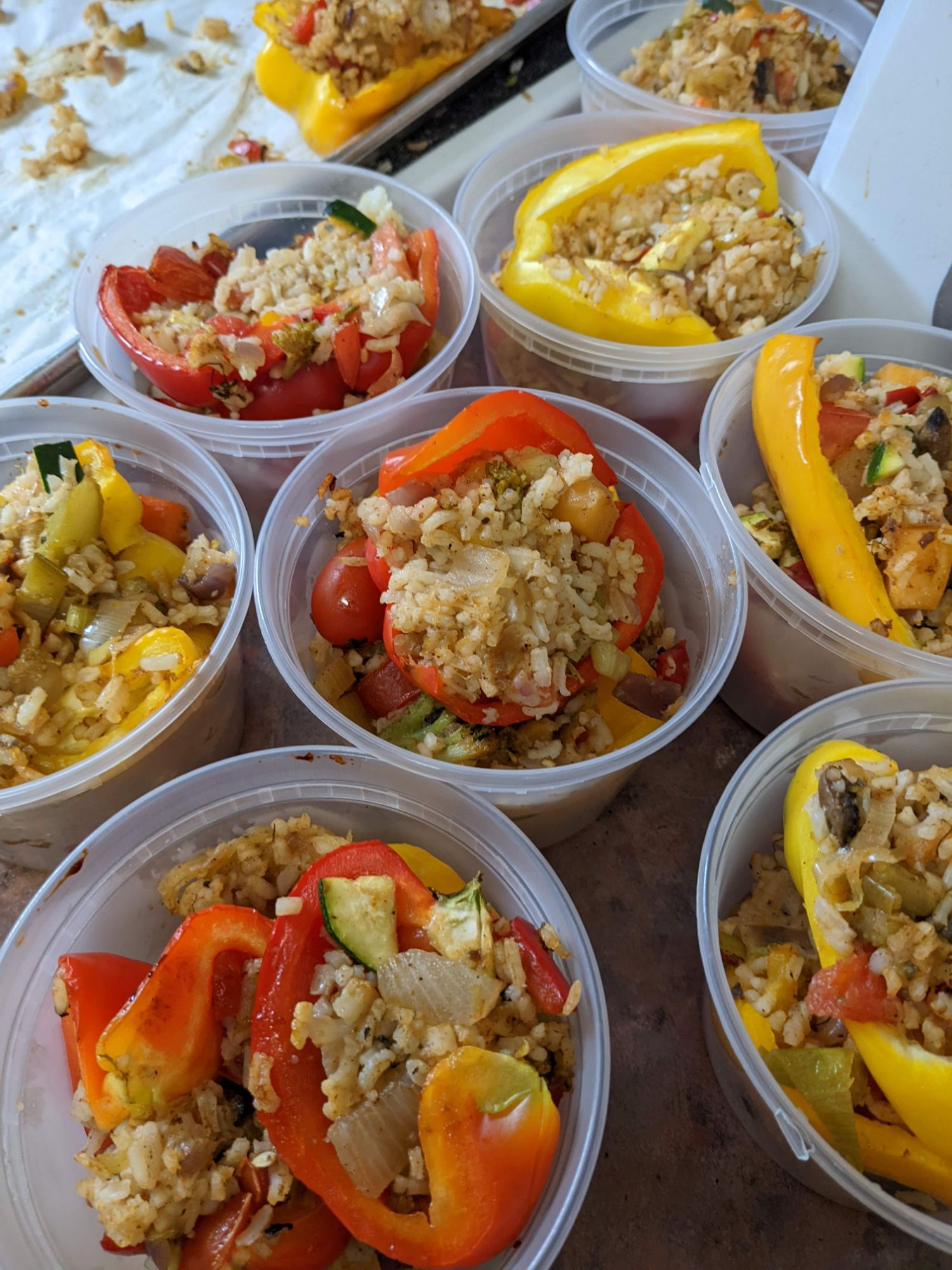 Photo - Pourquoi je fais ça? Des trucs trop personnels et de la merde personnelle qui ont mené à une micro-pépinière