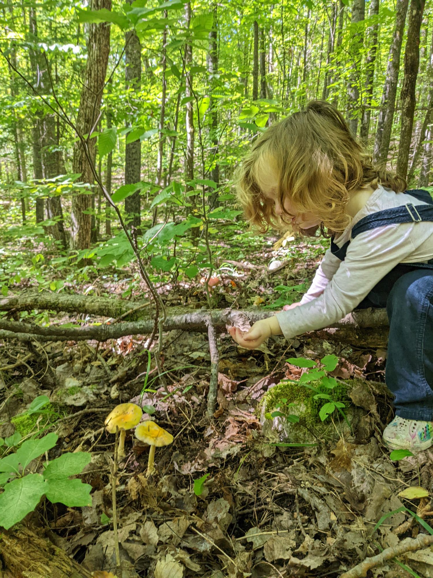 Photo - Pourquoi je fais ça? Des trucs trop personnels et de la merde personnelle qui ont mené à une micro-pépinière