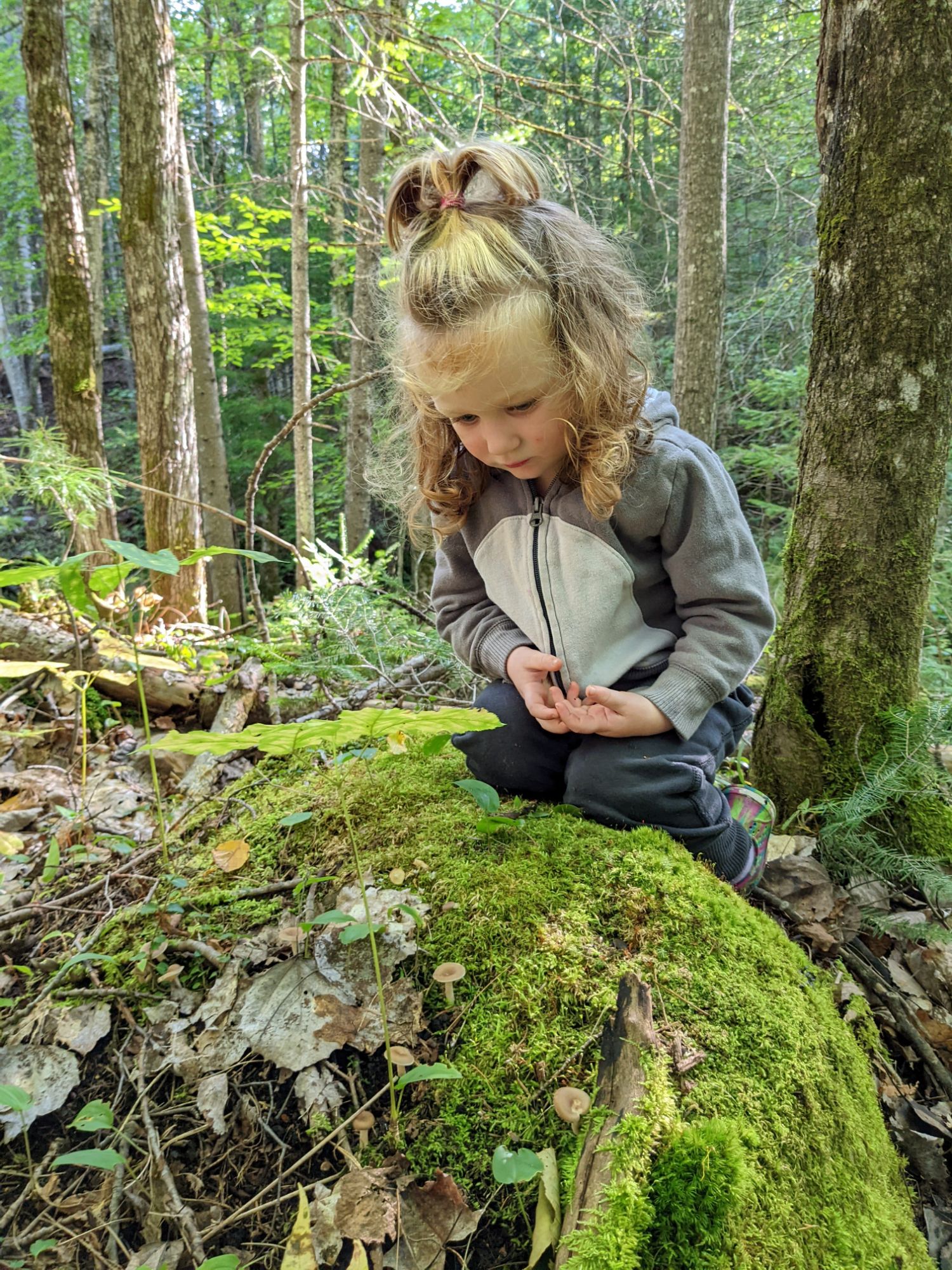 Photo - Pourquoi je fais ça? Des trucs trop personnels et de la merde personnelle qui ont mené à une micro-pépinière