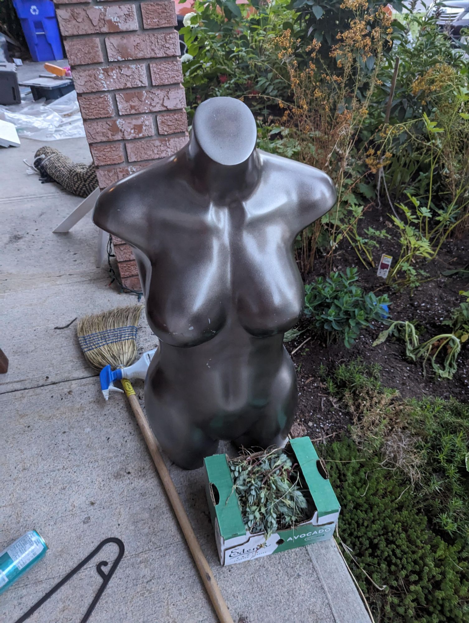 Cadeau d'un ancien voisin. J'ai tellement hâte d'incorporer ce buste dans notre nouveau jardin cette année. Mes ados sont mortifiés. Restez à l...