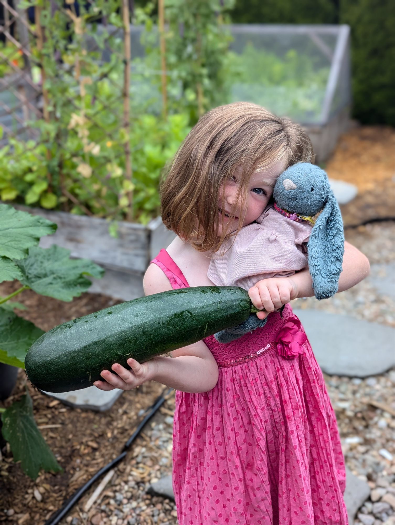 Photo - Pourquoi je fais ça? Des trucs trop personnels et de la merde personnelle qui ont mené à une micro-pépinière