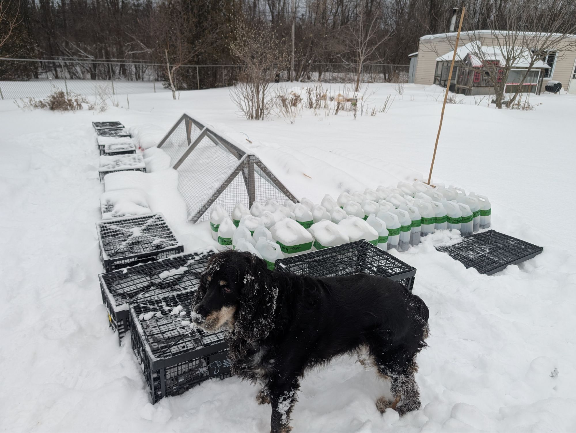 Photo - Pourquoi je fais ça? Des trucs trop personnels et de la merde personnelle qui ont mené à une micro-pépinière