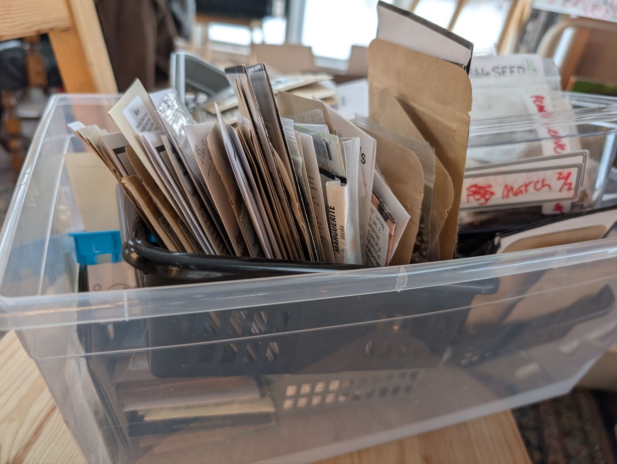 The seeds I havent planted yet this year