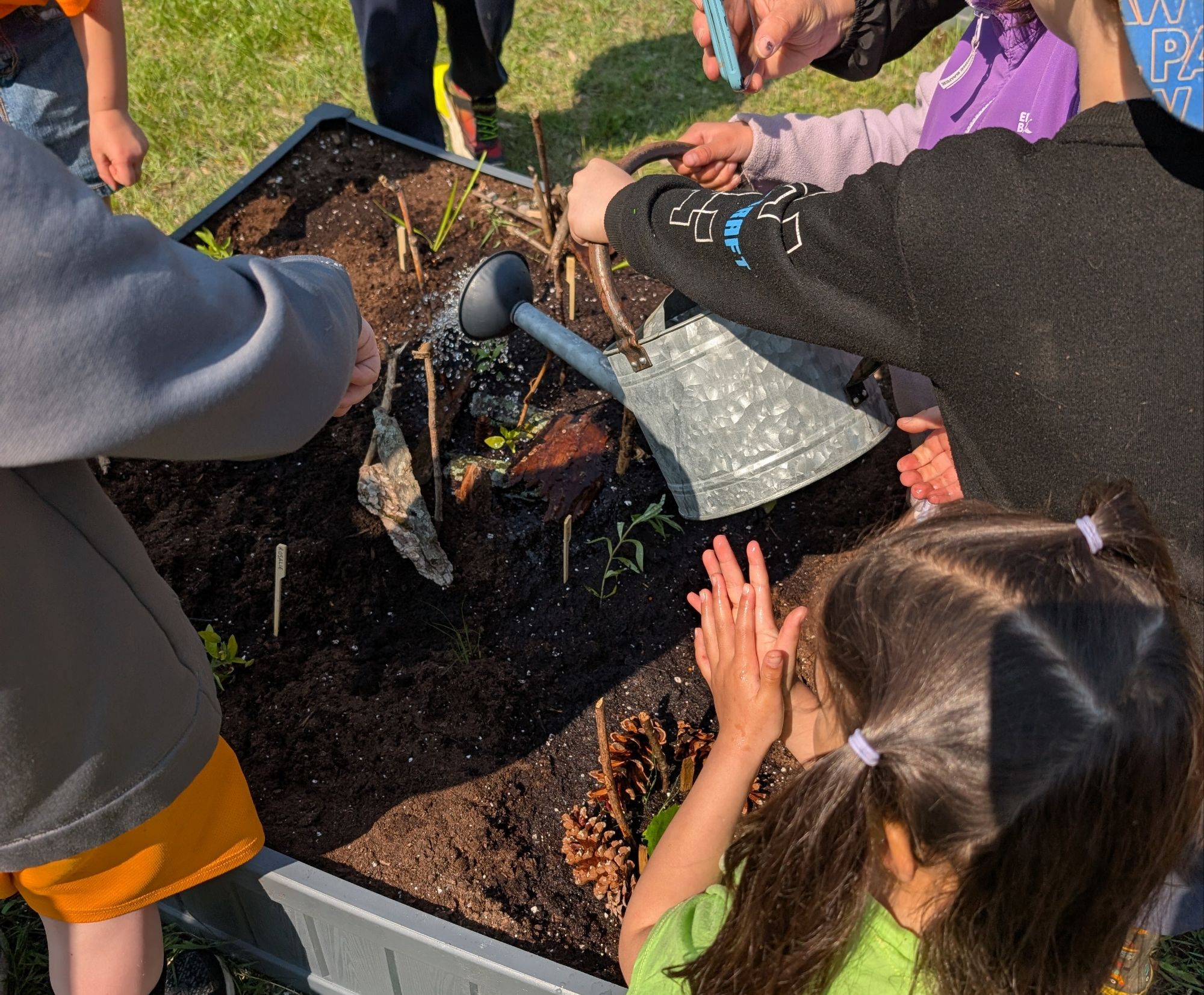 Junior Effet Papillon Rangers tending to their plantees