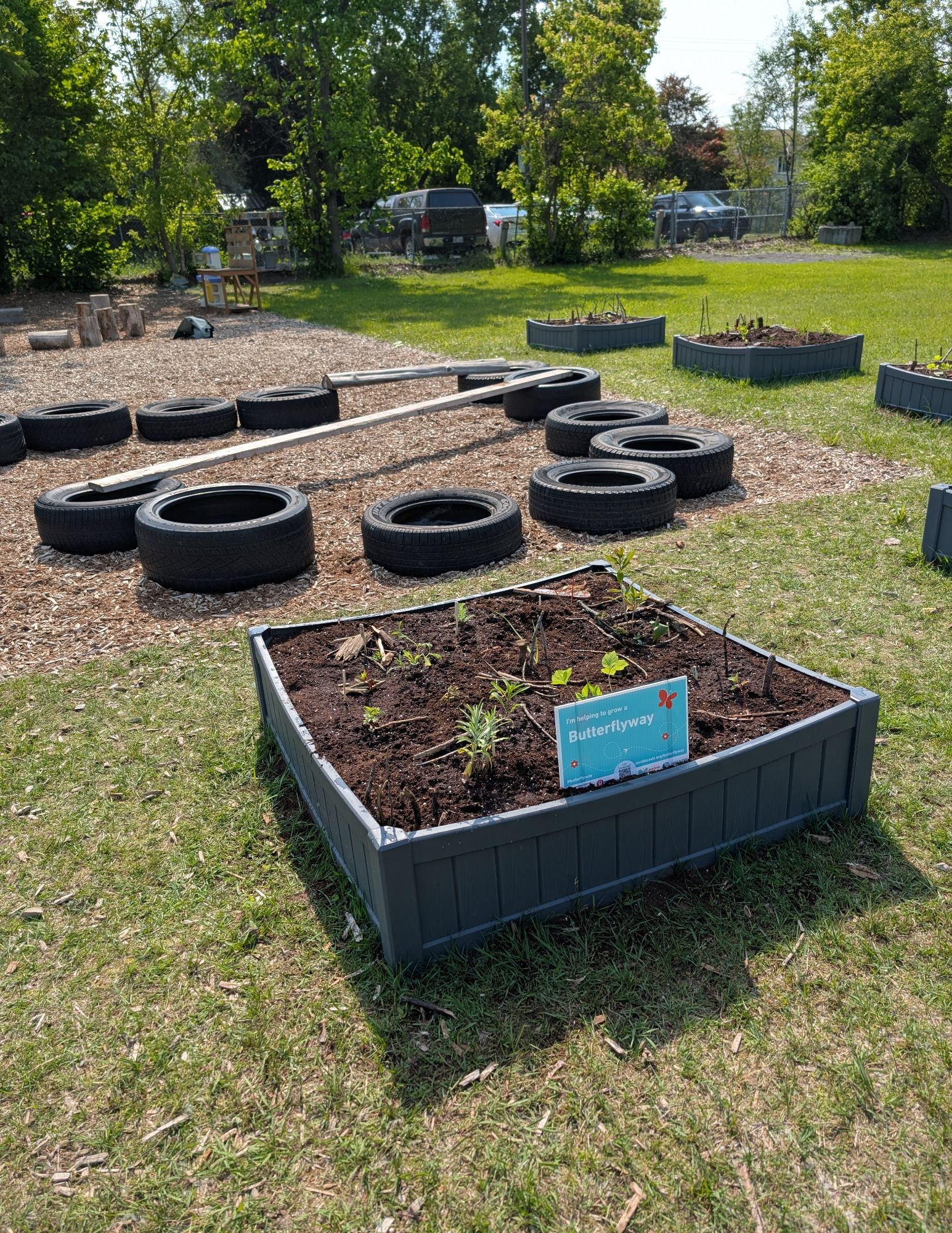 Newly built pollinisateur habitat in 6 jardin boxes at Lord Aylmer Junior Campus