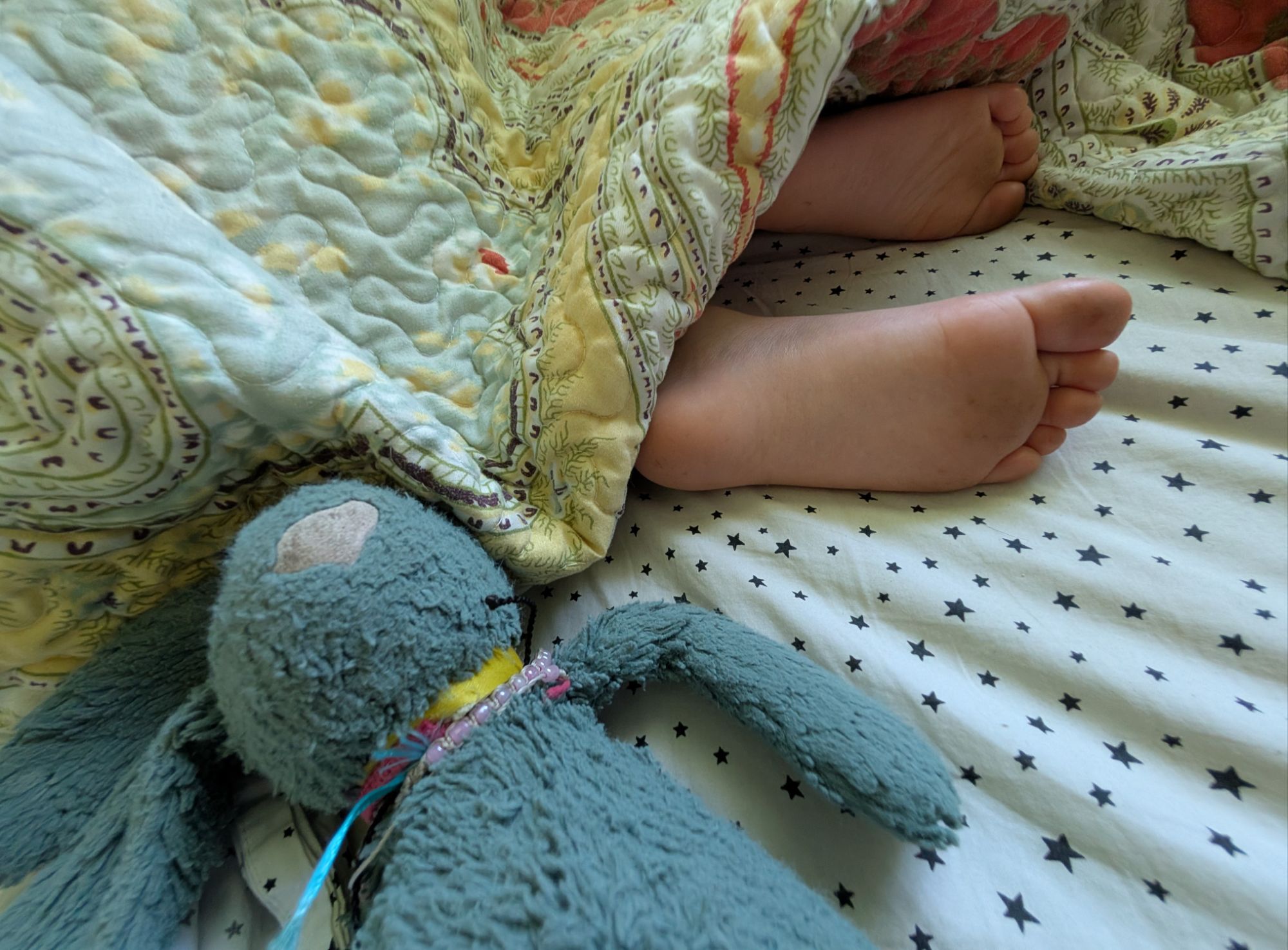 Photo - La spirale descendante très personnelle d'ailes de papillon froissées