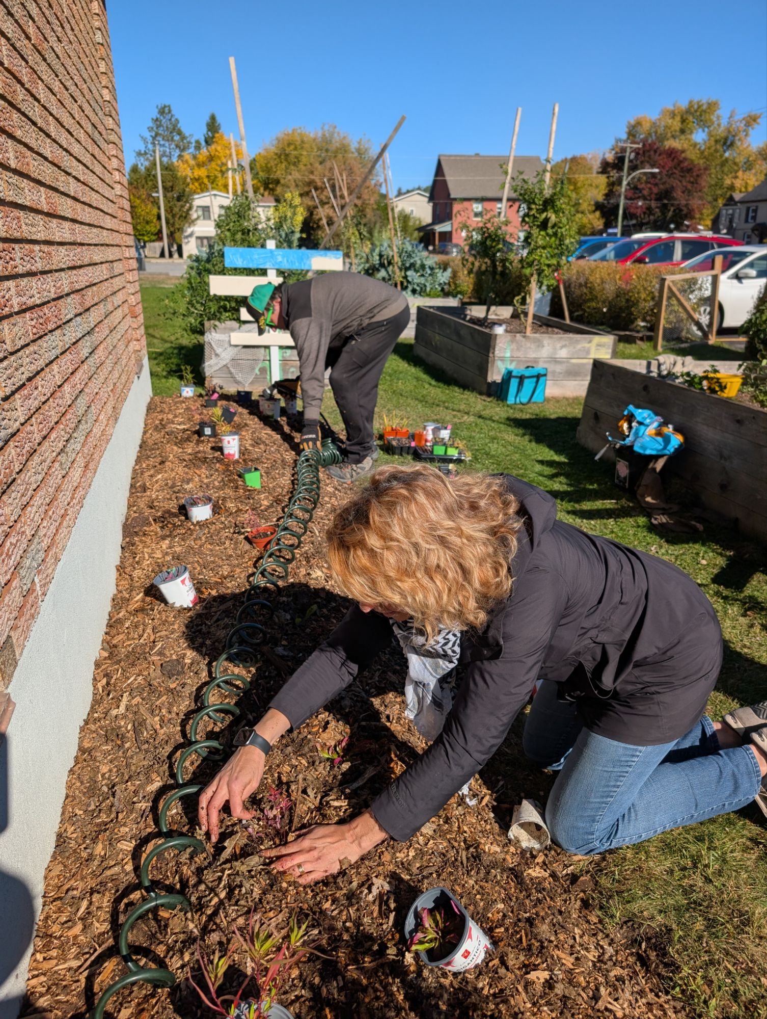 Photo - Escale #11 de l'Effet Papillon Aylmer — Centre Alimentaire Aylmer
