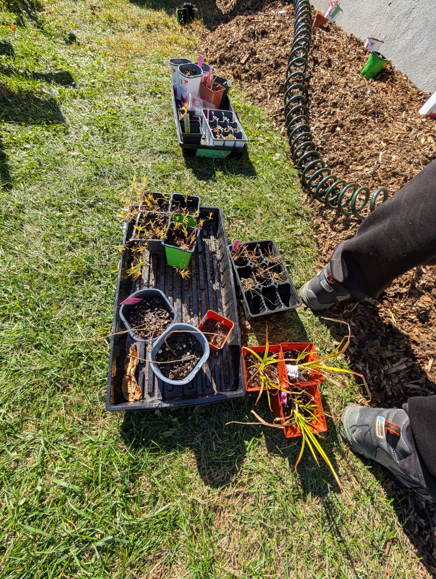 Photo - Escale #11 de l'Effet Papillon Aylmer — Centre Alimentaire Aylmer