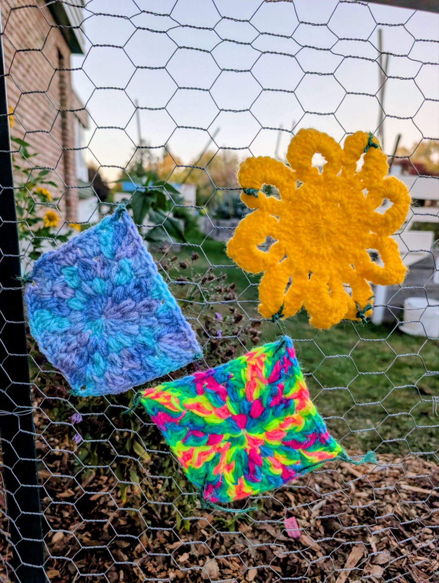 Photo — Aylmer Effet Papillon Stop #11 - Centre Allimentaire Aylmer