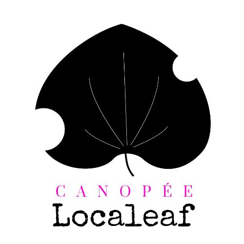 Photo - GRANDE NOUVELLE! On a fait quelque chose et enregistré un OBNL officiel!