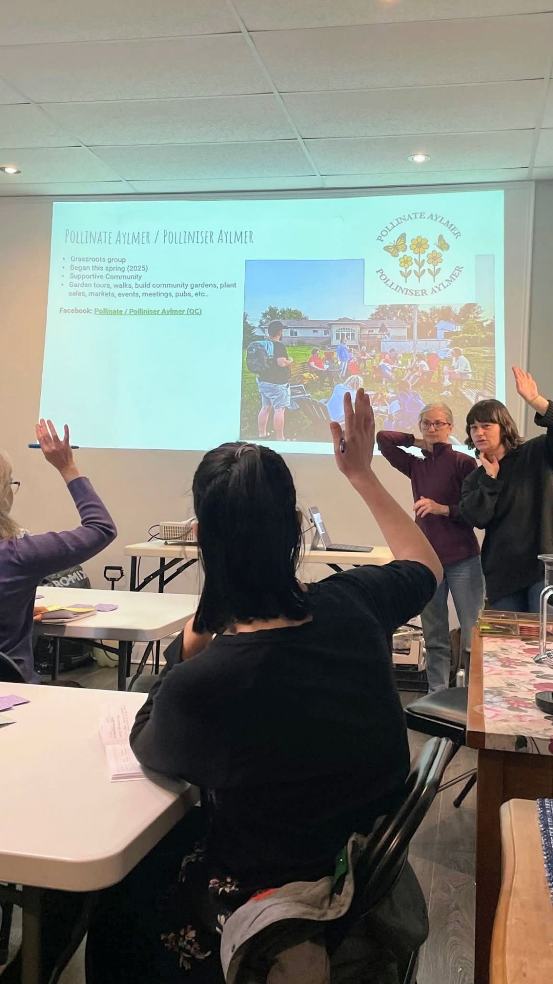 Alternatives au gazon : creez un espace exterieur durable