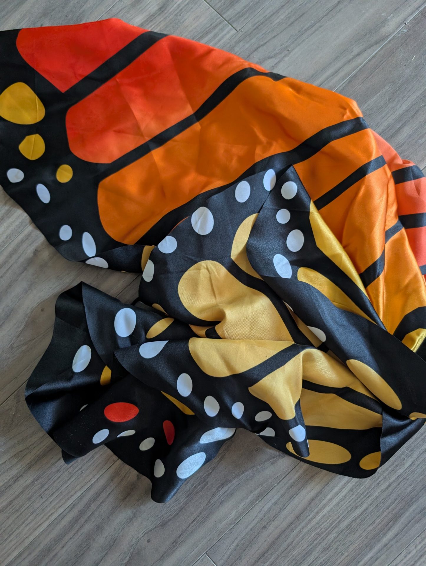 La spirale descendante très personnelle d’ailes de papillon froissées